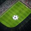 Die Allianz Arena bekommt einen neuen Rasen.