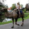 Auf dem Kamel durch den Krumbacher Stadtgarten reiten, das konnte man bei der Veranstaltung „Meet & Eat“. 