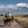 Weites Land: Argentiniens Landschaft ist faszinierend. 