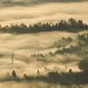 Dichter Nebel umhüllt kurz nach Sonnenaufgang bei Großdorf in Österreich Wald und Wiesen. US-Präsident Trump hat die Österreicher als "Waldnation" bezeichnet.