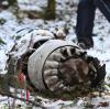 In einem Wald  bei Sieberatsreute (Baden-Württemberg) stürzte im Dezember 2017 eine Cessna mit Thermen-Investor Josef Wund an Bord ab. 