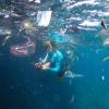 Eine Wissenschaftlerin schwimmt zwischen schwimmenden Plastikfragmenten.