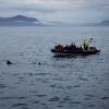 Vor der Küste Islands schwimmt ein Riesenhai vor einem Walbeobachtungsboot. Ein solches Tier wurde jetzt auch in dänischen Gewässern gesichtet. 