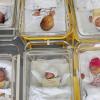 Eine Frau aus Osnabrück hat ein beinahe sechs Kilo schweres Baby zur Welt gebracht. Zum Vergleich: Das durchschnittliche Geburtsgewicht bei Jungen liegt bei 3500 Gramm.