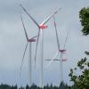 Drehen sich künftig Windräder im Hagenauer Forst an der Landkreisgrenze zwischen Pöttmes und Schrobenhausen? Die Bürger-Energie-Genossenschaft Neuburg-Schrobenhausen-Aichach-Eichstätt glaubt daran, auch wenn es starke Gegnerschaft bei Bürgern zu Projekt für erneuerbare Energieerzeugung gibt. 