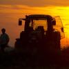 Mit einem gestohlenen Traktor fuhr ein 25-Jähriger schwer betrunken durch die Gegend und baute einen Unfall. 	