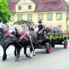 Ein beeindruckender Umzug fand zum 90-jährigen Bestehen des Turnvereins Obenhausen statt. Auf prachtvollen Pferdegespannen und Kutschen fanden die Ehrenmitglieder Platz. Fotos: zisc