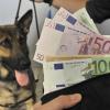 Ein Räuber erbeutet bei einem Überfall auf eine Geldbotin im Augsburger Rotlichtmilieu mehrere Tausend Euro. Bei der Überführung des mutmaßlichen Täters half der Kripo ein spezieller Spürhund. (Symbolbild)