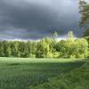 Bei Wind und Wetter: Spaziergänge haben eine entspannende Wirkung.  	