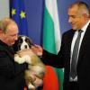 Für Russlands Präsidenten Wladimir Putin gab es einen bulgarischen Schäferhund vom bulgarischen Ministerpräsidenten Boyko Borisov.