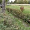 Der Mühlbach führt bei Windach nur noch zeitweise Wasser und fällt oft trocken. Nun hat ein Experte, der die Gemeinde berät, seine Analyse zu den geplanten Veränderungen bei dem Gewässer im Gemeinderat vorgestellt.