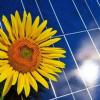 Solarenergie: Wie funktioniert die Förderung?