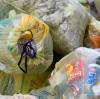 Im Landkreis Neu-Ulm werden jedes Jahr mehrere Tausend Tonnen Plastikmüll produziert. Ein Teil davon landet im gelben Sack.