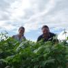 Rebecca Schweiß, Projektmanagerin der Ökomodellregion Günztal, und Konrad Specht präsentieren die Schwarzen Bohnen, die der Biobauer auf einem Feld bei Oberkammlach versuchsweise angebaut hat. 	