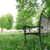 Am Espach steigt am 10. Juni das Picknick-Open-Air in Babenhausen.