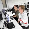 Anna Kurnoth und Klaudius Höhne bekommen einen Einblick, wie man mit Mikroskopen arbeitet. Professor Marco Koch (links) gehört zum Team der Medizinfakultät an der Uni Augsburg.