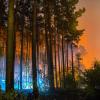 Waldbrand in Brandenburg: Ein Feuer hat sich im Südwesten Brandenburgs auf einer großen Waldfläche ausgebreitet. Rund 300 Einsatzkräfte bekämpfen den Waldbrand südwestlich von Berlin.