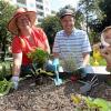 Tine Klink, Matthias Lorentzen und seine Nachbarin Johanna mit ihrem Sohn Georg (von links) haben das Stadtgärtnern am Theodor-Heuss-Platz wiederbelebt. In der vor einigen Jahren umgestalteten Anlage führten die Hochbeete bislang ein Schattendasein. 	