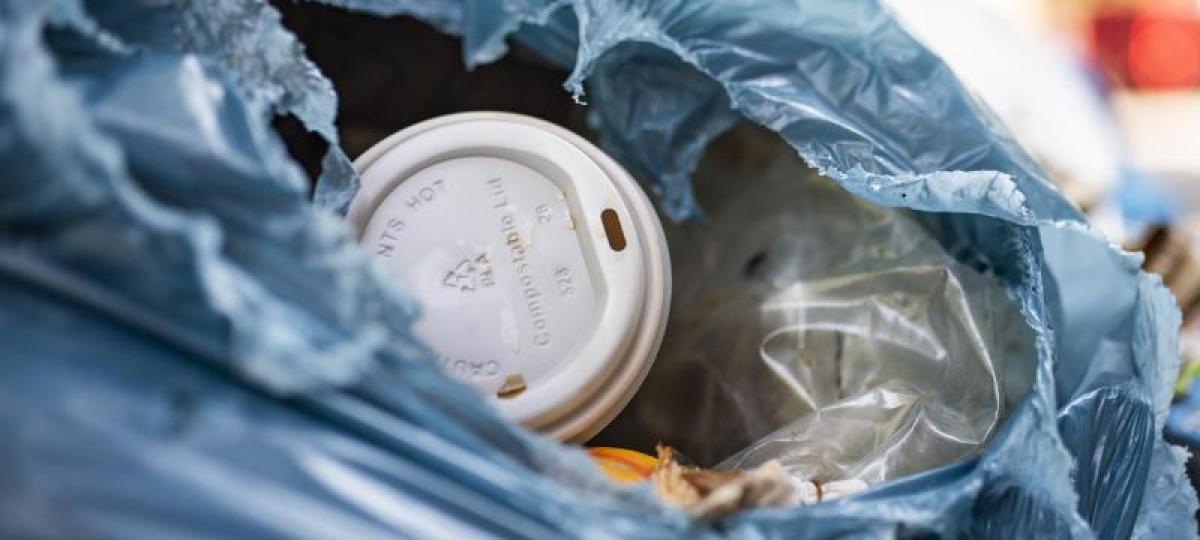 Polizeieinsatz wegen fehlender Mülltrennung in Flüchtlingsunterkunft