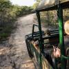 Touristen fahren durch den Krüger-Nationalpark. Der weltberühmte Krüger-Park wird in den nächsten Jahren saniert.