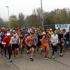 Lionslauf 2014 von Eichstätt nach Neuburg