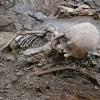 Forschende haben auf dem archäologischen Gelände der versunkenen Stadt Pompeji in Italien zwei Skelette gefunden.
