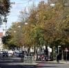 Buntes Laub zaubert Farbtupfer in die Innenstadt, wie hier in der Konrad-Adenauer-Allee.