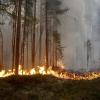 Ein Waldbrand in der Nähe von Ljusdal. In Schweden wüten weiter heftige Waldbrände. Die Zahl der Feuer steigt.