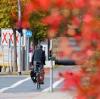 Radfahrer müssen ausgeschilderte Radwege nutzen.