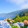 Traumziel auf der Musik-Kreuzfahrt: Madeira.