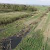 Im Booser Ried werden Moorflächen renaturiert. Die in der Mitte des Fotos zu sehenden Weidengebüsche wurden bereits entfernt. Geplant ist nun, die Flächen wieder zu vernässen, um einen Abbau des Torfbodens zu verhindern.