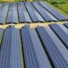 Eine Fotovoltaik-Anlage soll in Nordhofen entstehen. 	