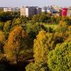 Herbstlich belaubte Bäume im Hamburger Stadtpark.