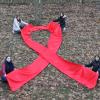 Auch der Landkreis Neuburg-Schrobenhausen zeigt am Welt-Aids-Tag Solidarität mit einer roten Schleife. 