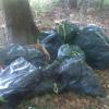 Immer wieder entsorgen Umweltfrevler ihren Müll mitten im Wald.