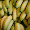 Wer beim Frühstück zur Banane greift, sorge für einen schnellen Anstieg des Blutzuckerspiegels.
