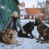 Jane Kellner mit ihren drei Hunden. Ihr Gnadenhof in Frauenwies ist in einer finanziellen Notlage.