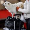 Auch wenn man ein Deutschlandticket hat, fährt der Hund nicht überall kostenlos mit. 