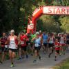 Der Start für das 5,3- und 10,6-Kilometer-Rennen des Stauseelaufs in Bad Wörishofen erfolgte gemeinsam. 	