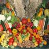 Früchte, Gemüse und Getreide zum Erntedank in St. Vitus in Rieden (Symbolfoto)