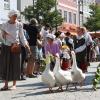 Gänse, Ochsen, bepackte Esel: Beim Einzug der Bauern und Handwerker auf das Frundsbergfest gab es viel zu sehen.