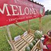 Seit gut einer Woche steht von Burlafingen kommend am Ortseingang von Steinheim der Verkaufsstand mit den Wassermelonen.