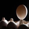 Millionen mit Fipronil belastete Eier sind nach Deutschland gelangt. Darauf hat Aldi reagiert: Der Discounter verkauft in Deutschland vorerst keine Eier mehr.