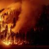 Die Flammen des Dixie-Feuers in Genesee, Kalifornien, im August. Auch in Deutschland steigt die Gefahr der Waldbrände.