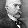 Der deutsche Biologe Robert Koch entdeckte den Erreger Mycobacterium tuberculosis und präsentierte ihn am 24. März 1882 der Öffentlichkeit