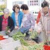 Kleine Salat- und Tomatenpflanzen, Mariendisteln, Rosenstöcke, Kräuter oder Etagenzwiebeln standen auf dem Hänger.  