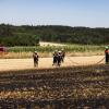 Etwa eine Stunde brauchten die Feuerwehrleute um den Brand auf einem Feld bei Hertesried zu löschen. 