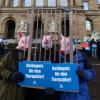 Demonstranten haben im Februar vor der Verhandlung gegen den Landwirt aus Merklingen eine harte Strafe gefordert. Der Fall und die Arbeit des Veterinäramts beschäftigten nun den Ulmer Hauptausschuss. 	
