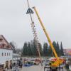 Es dauert lange, bis ein Maibaum steht: Zuerst sind die Hindernisse auf dem Transport zu bewältigen, wie hier ein Kreisverkehr. Dann wird der Stamm auf dem Marktplatz geschmückt und mit dem Autokran aufgestellt. Die Verantwortlichen von Feuerwehr und Trachtenverein fixieren den Stamm in der Verankerung (rechts Vorsitzender Andreas Hieble), dann endlich: Baum steht! 