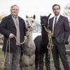 Frank Thiel (Axel Prahl) und Prof. Karl-Friedrich Boerne (Jan Josef Liefers) mit zwei Alpakas: Szene aus dem Münster-Tatort heute ("Rhythm and Love").